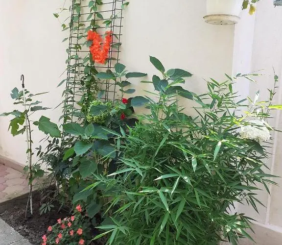 Ubytování v soukromí Casa Valentin Eforie Nord