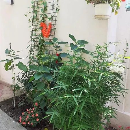 Ubytování v soukromí Casa Valentin Eforie Nord